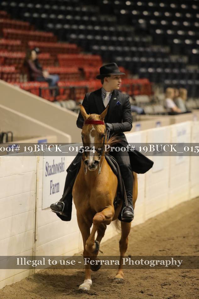 Proof Number 19BUCK_01524