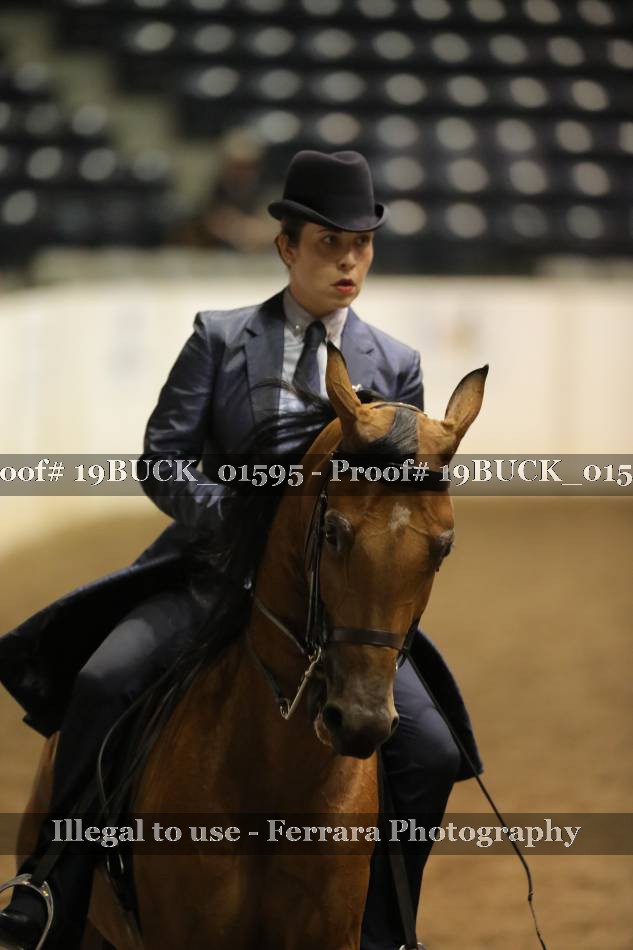 Proof Number 19BUCK_01595