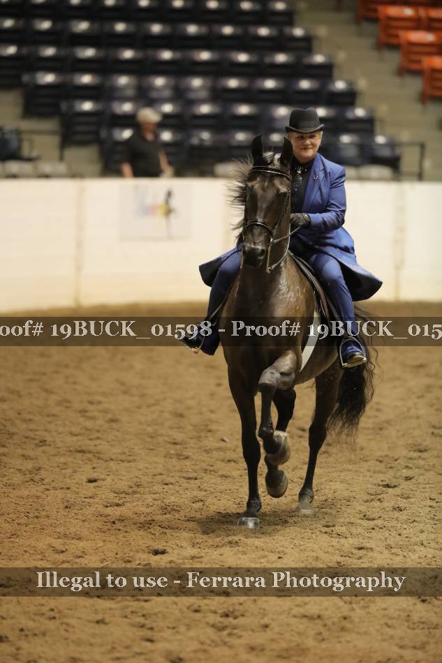 Proof Number 19BUCK_01598