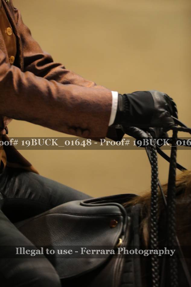 Proof Number 19BUCK_01648