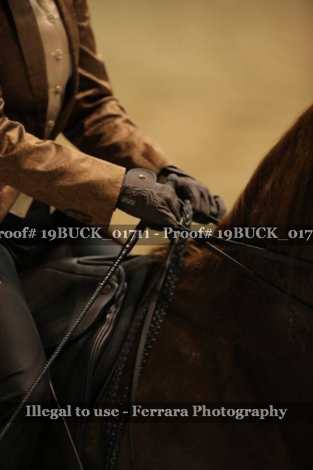 Proof Number 19BUCK_01711
