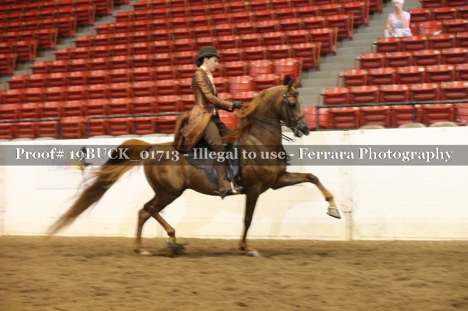 Proof Number 19BUCK_01713