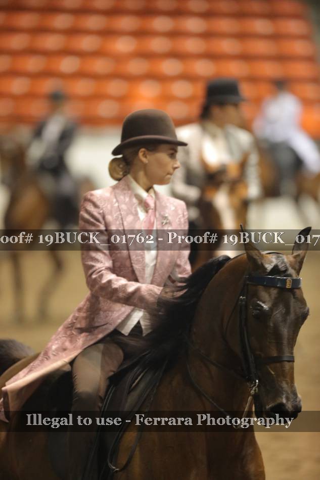 Proof Number 19BUCK_01762