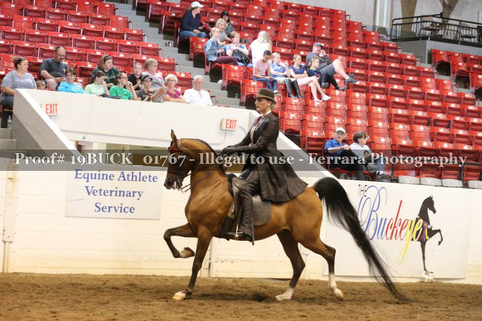 Proof Number 19BUCK_01767