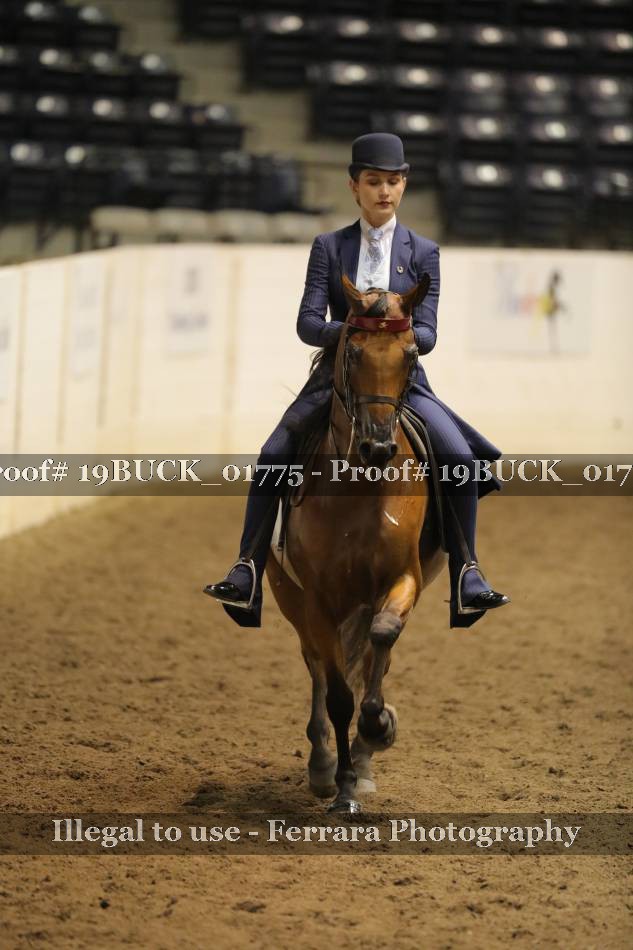 Proof Number 19BUCK_01775