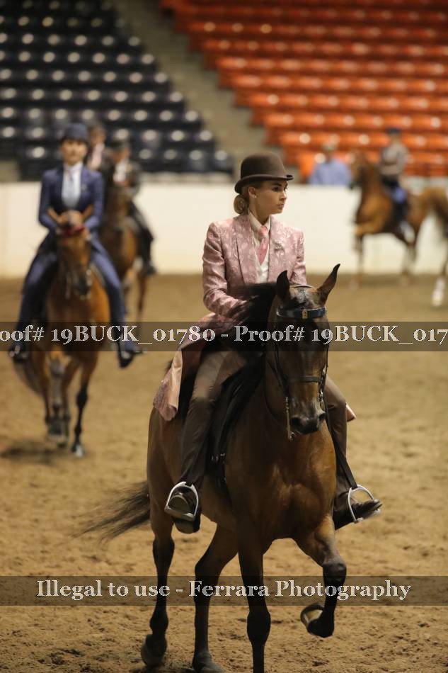 Proof Number 19BUCK_01780