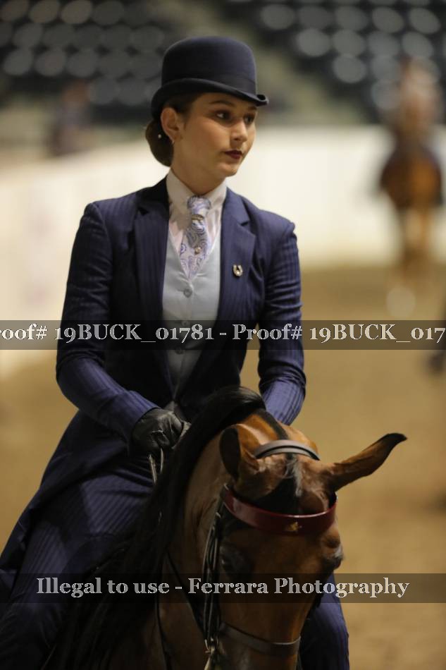 Proof Number 19BUCK_01781