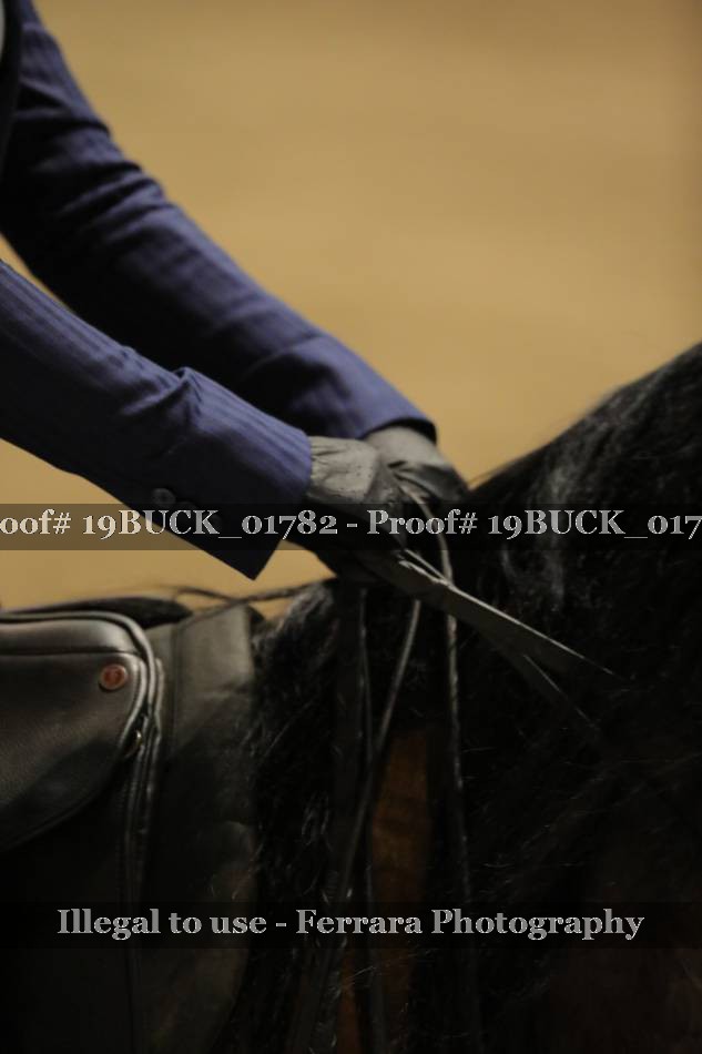 Proof Number 19BUCK_01782
