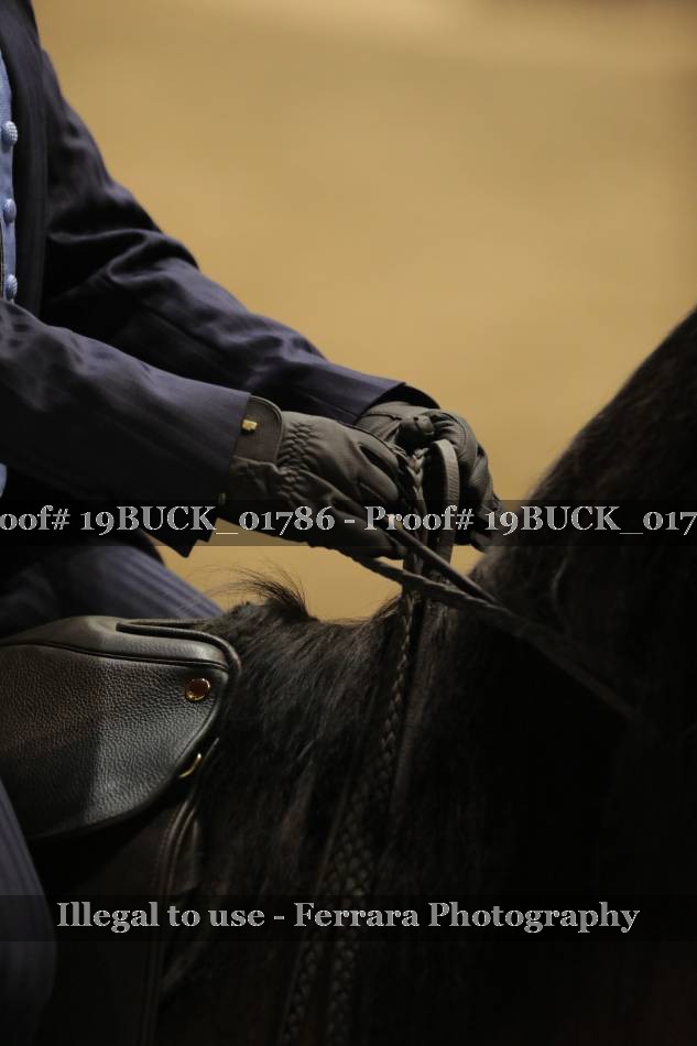 Proof Number 19BUCK_01786