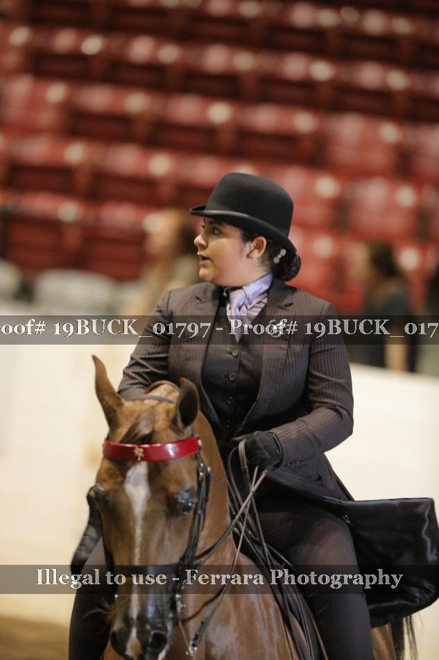 Proof Number 19BUCK_01797