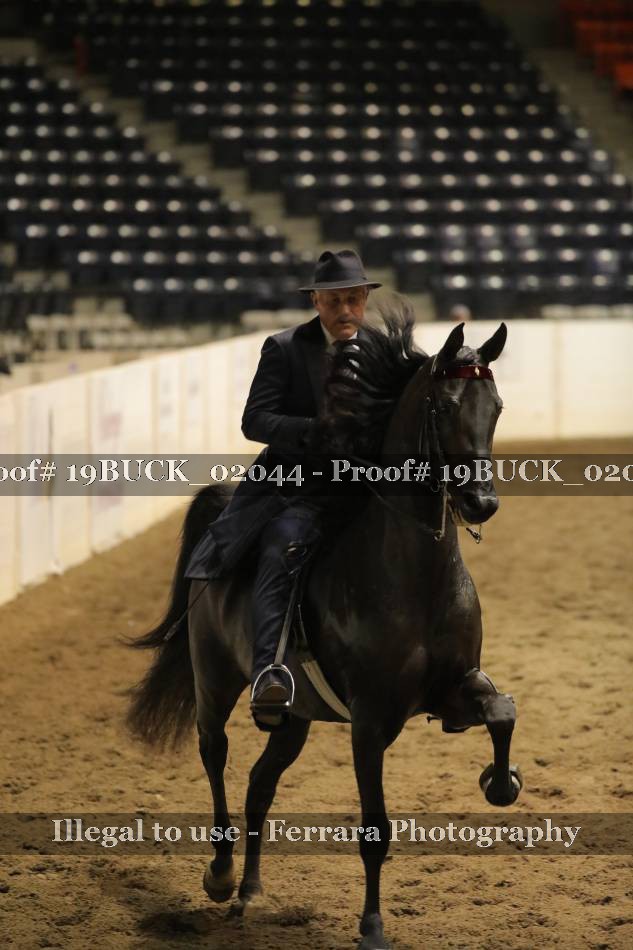 Proof Number 19BUCK_02044