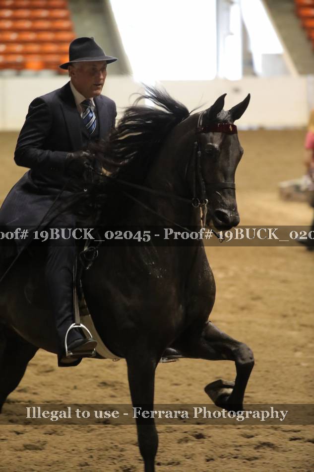 Proof Number 19BUCK_02045