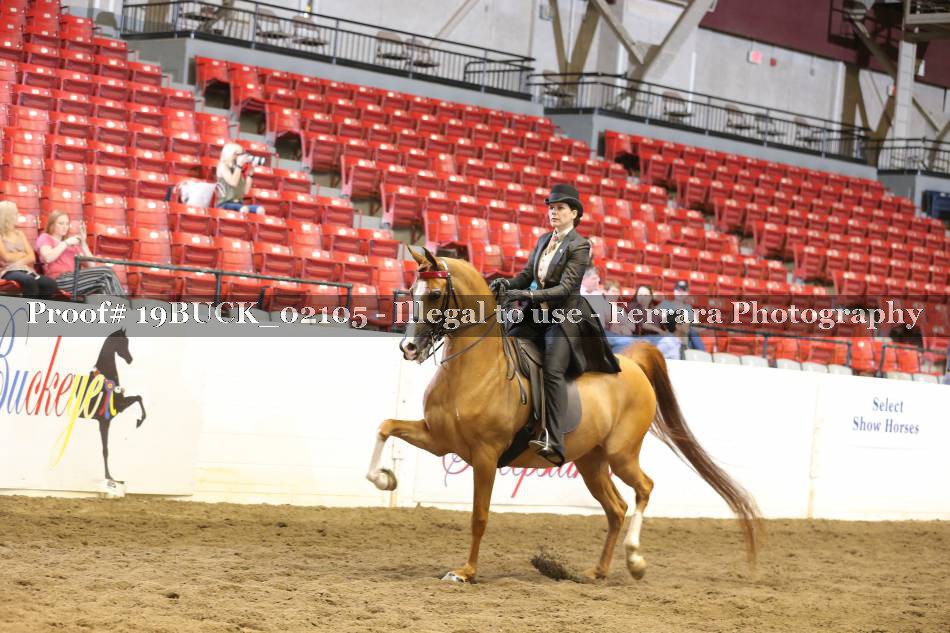 Proof Number 19BUCK_02105