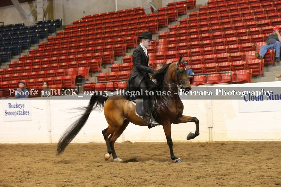 Proof Number 19BUCK_02115