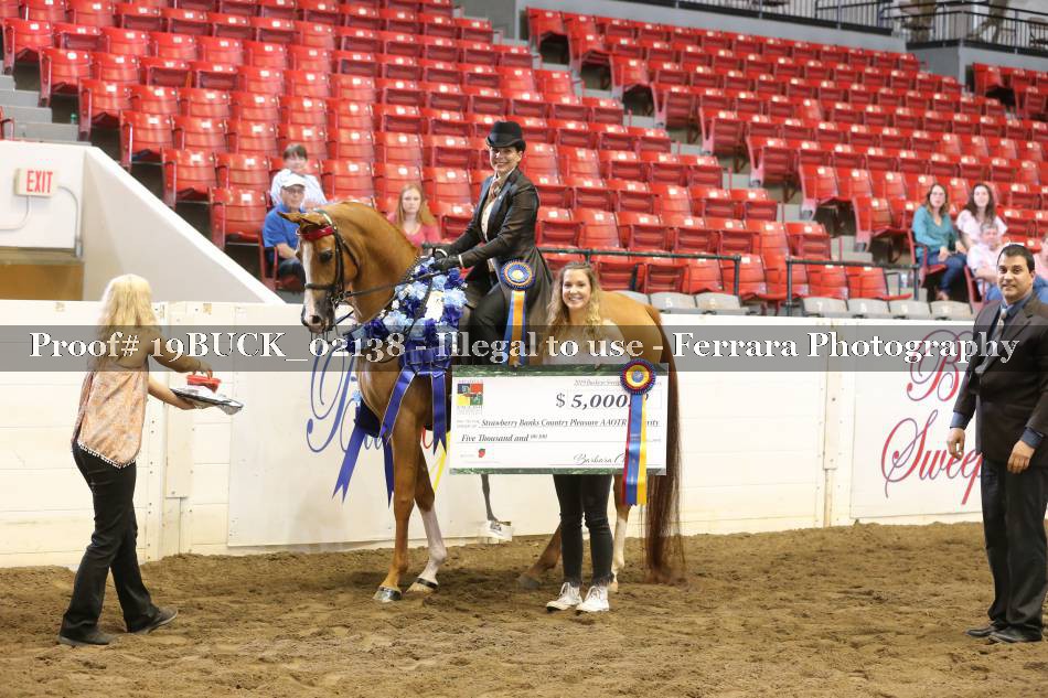 Proof Number 19BUCK_02138