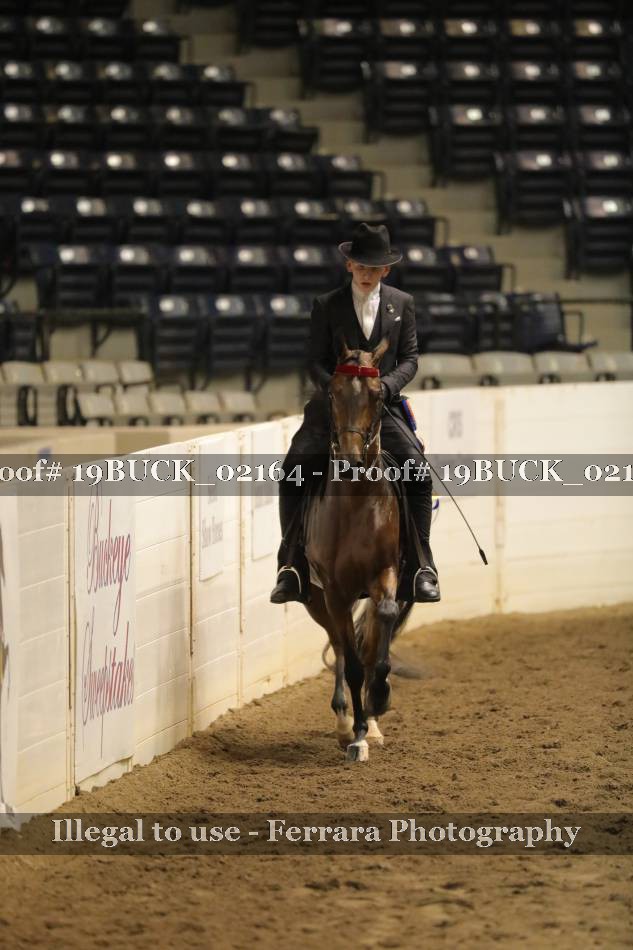 Proof Number 19BUCK_02164