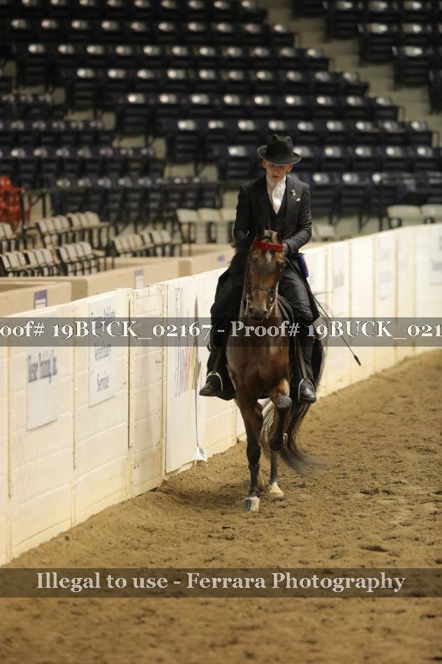 Proof Number 19BUCK_02167