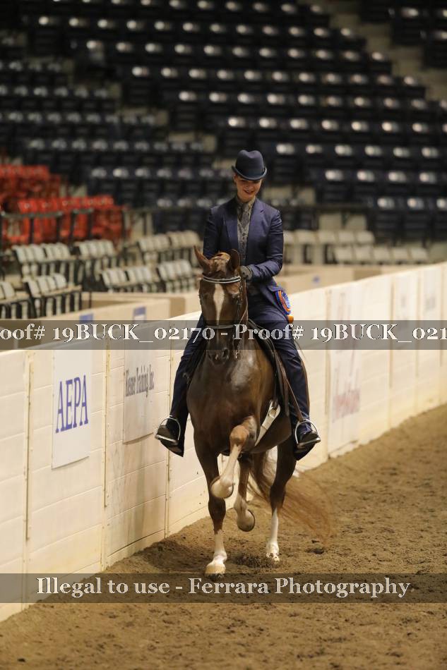 Proof Number 19BUCK_02170