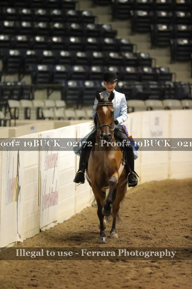 Proof Number 19BUCK_02172