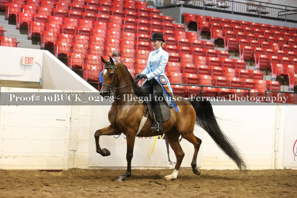 Proof Number 19BUCK_02173