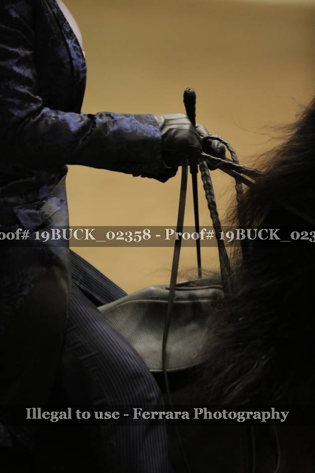 Proof Number 19BUCK_02358