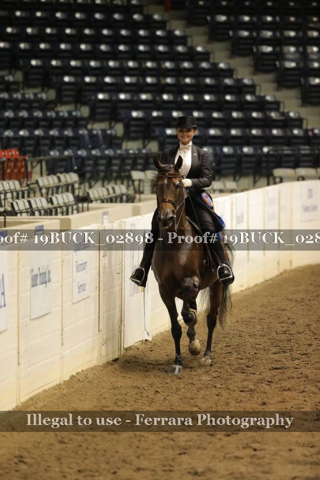 Proof Number 19BUCK_02898