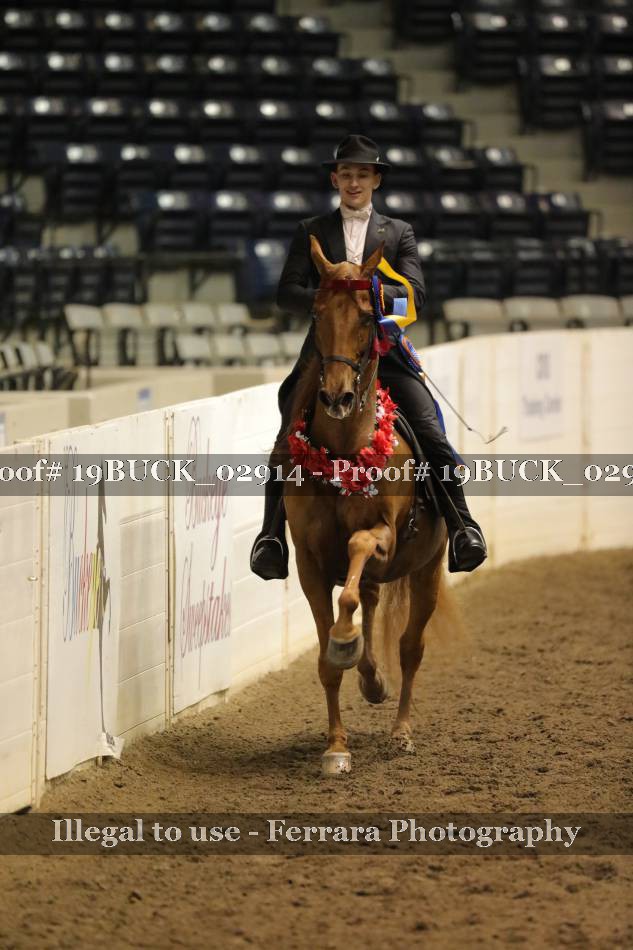 Proof Number 19BUCK_02914