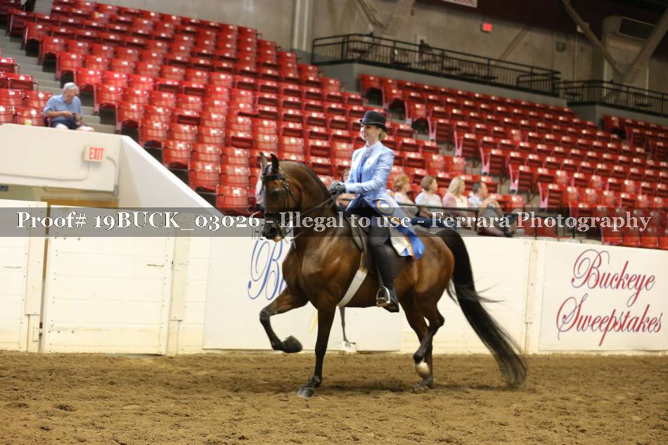 Proof Number 19BUCK_03026