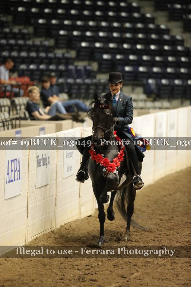 Proof Number 19BUCK_03049