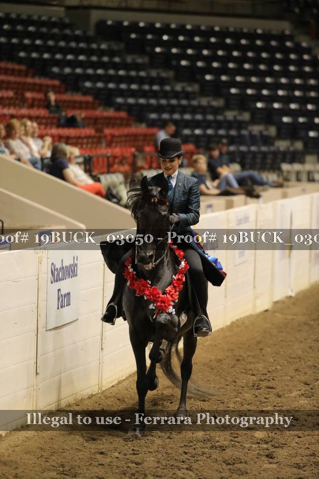 Proof Number 19BUCK_03050