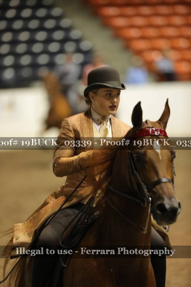 Proof Number 19BUCK_03339