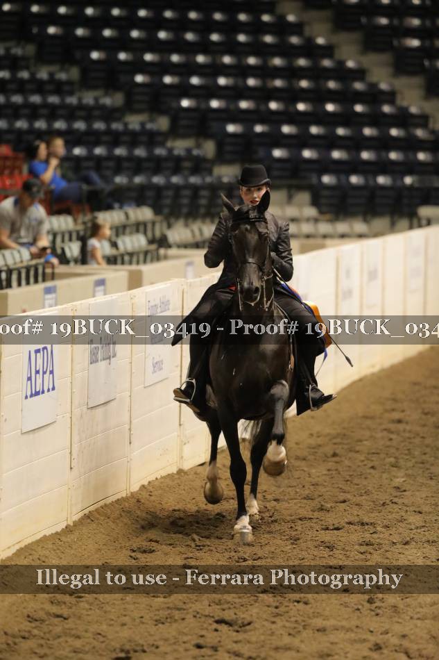 Proof Number 19BUCK_03419