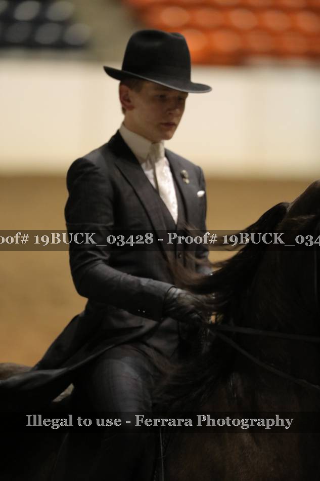 Proof Number 19BUCK_03428