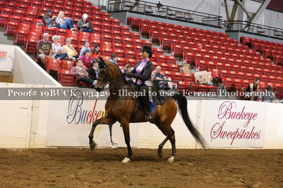 Proof Number 19BUCK_03429