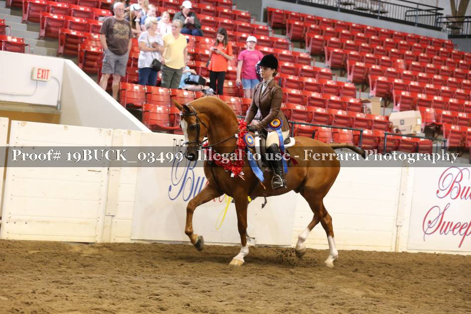 Proof Number 19BUCK_03499