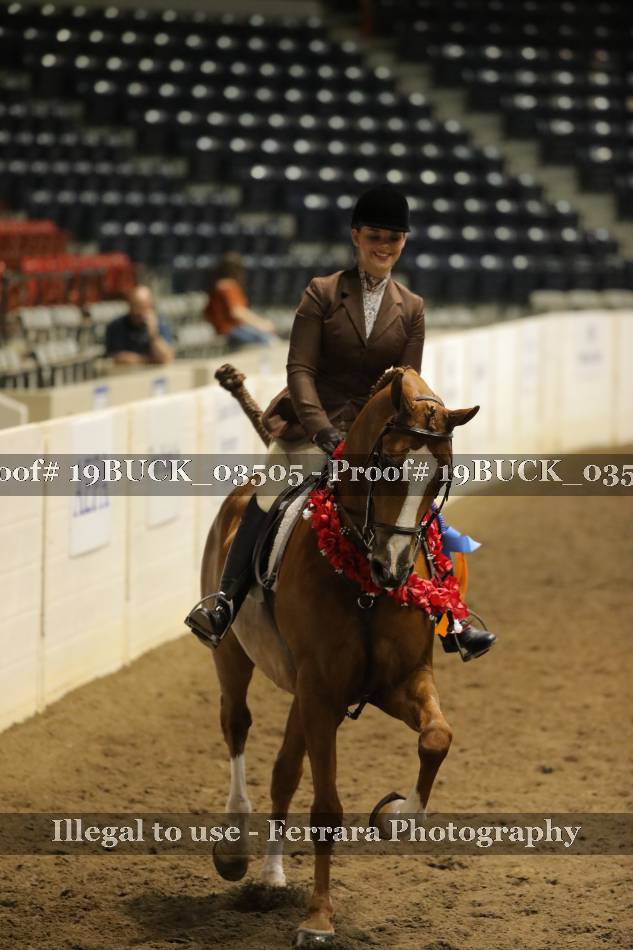 Proof Number 19BUCK_03505
