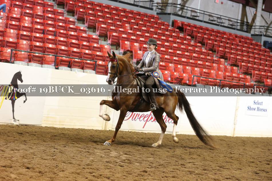 Proof Number 19BUCK_03616