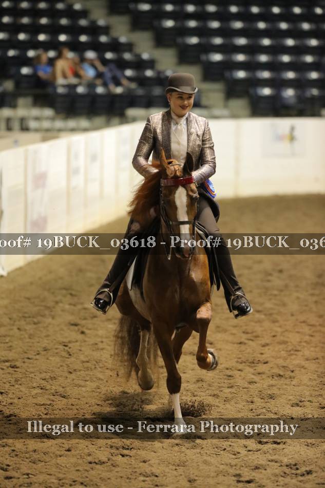 Proof Number 19BUCK_03618