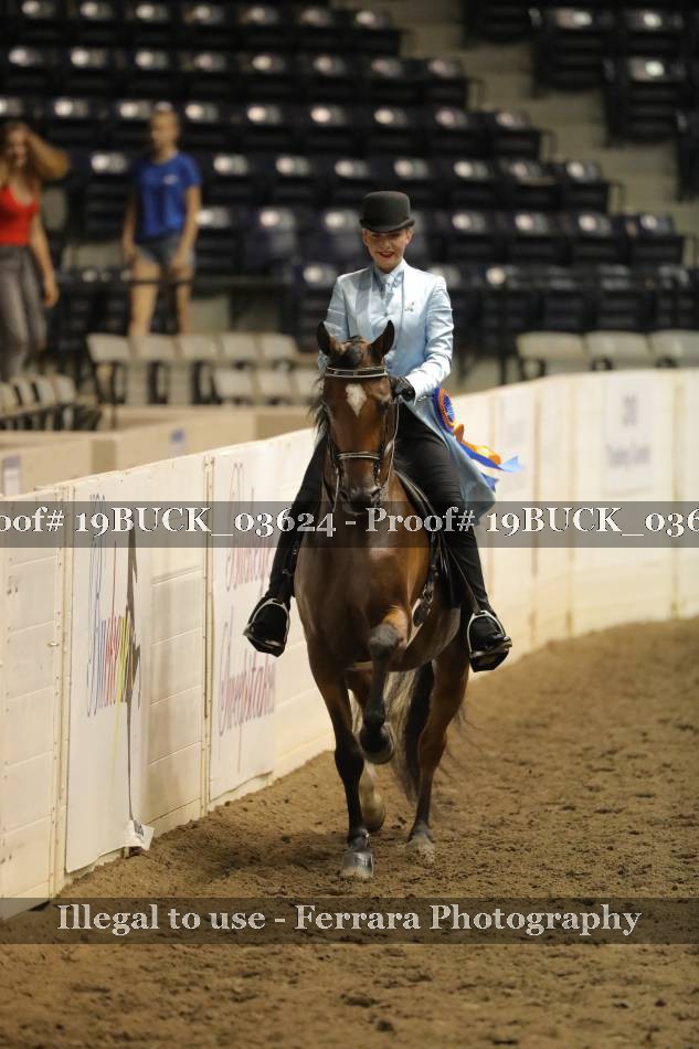 Proof Number 19BUCK_03624