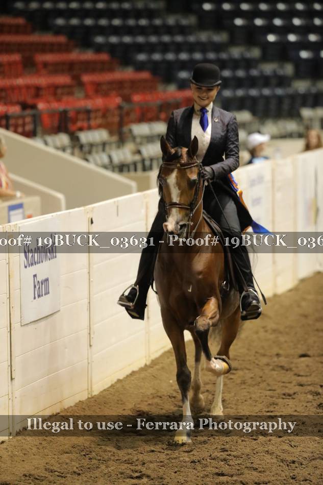 Proof Number 19BUCK_03631