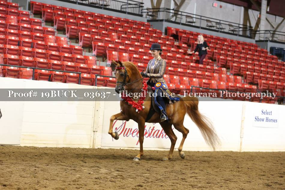 Proof Number 19BUCK_03637