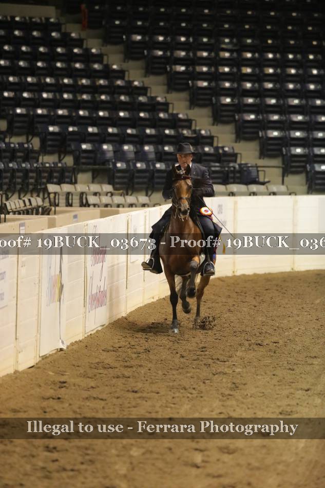 Proof Number 19BUCK_03673