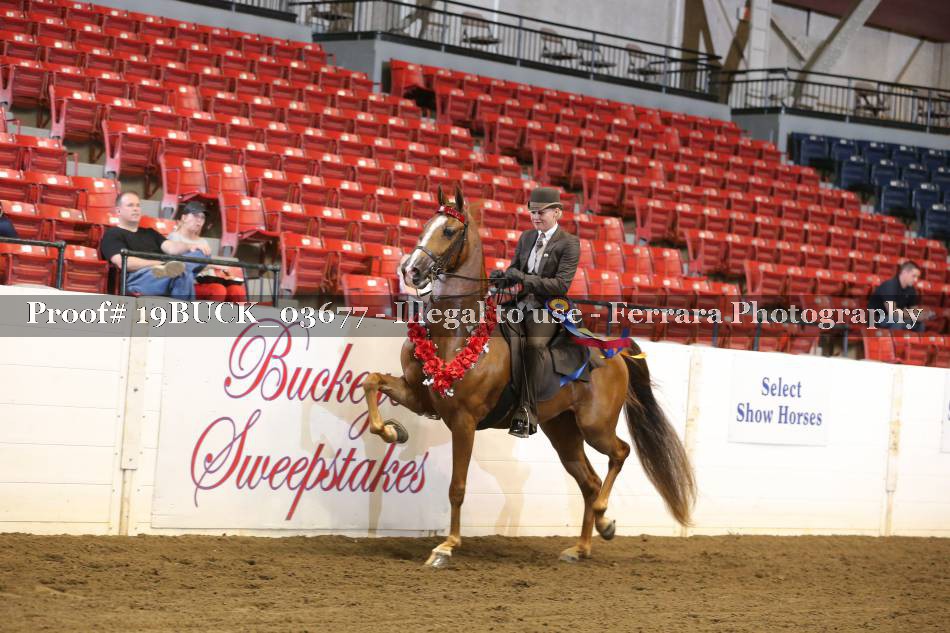 Proof Number 19BUCK_03677