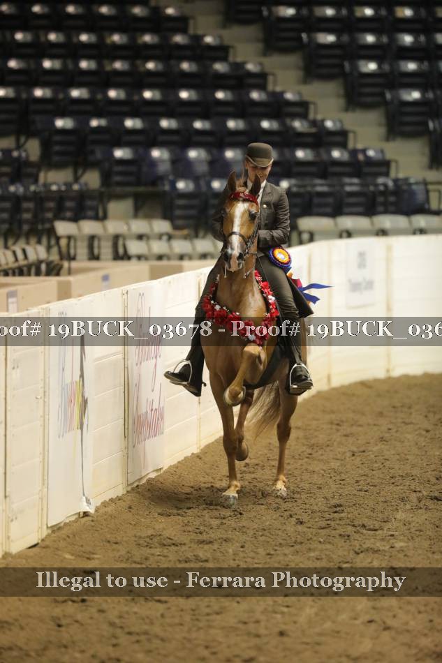 Proof Number 19BUCK_03678