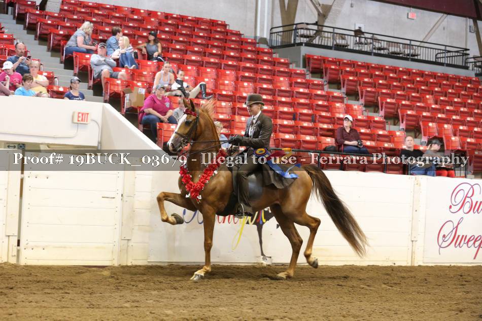Proof Number 19BUCK_03679