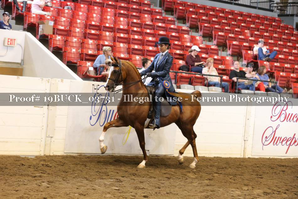 Proof Number 19BUCK_03731