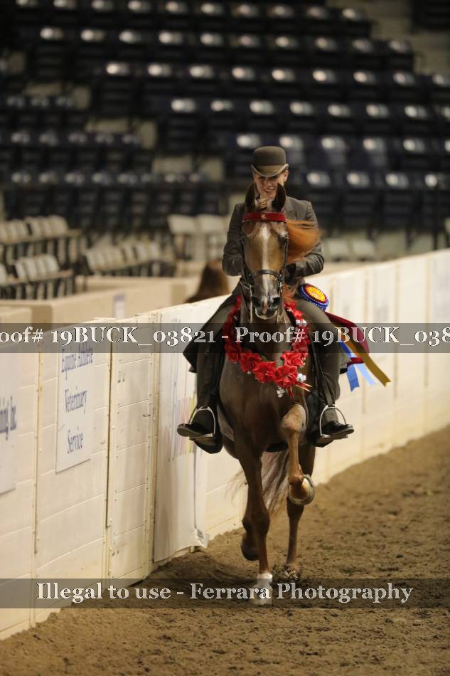 Proof Number 19BUCK_03821