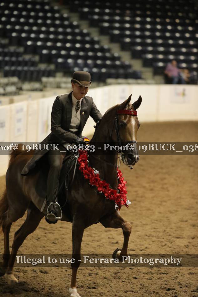 Proof Number 19BUCK_03823