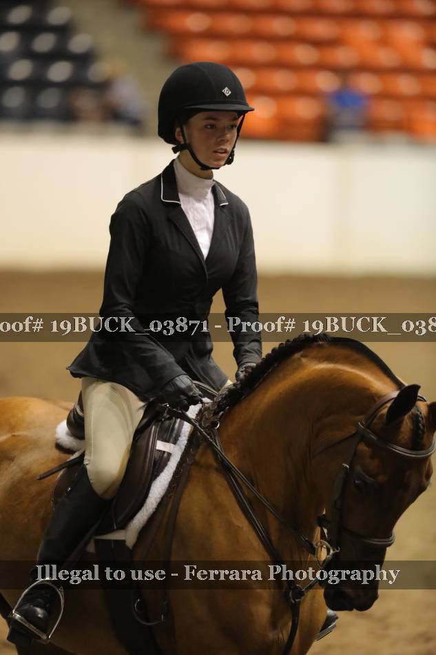 Proof Number 19BUCK_03871