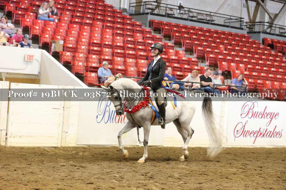 Proof Number 19BUCK_03872